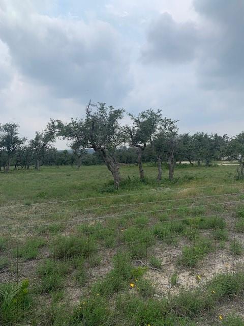 2993 Pump Station RD, Wimberley, TX 78676