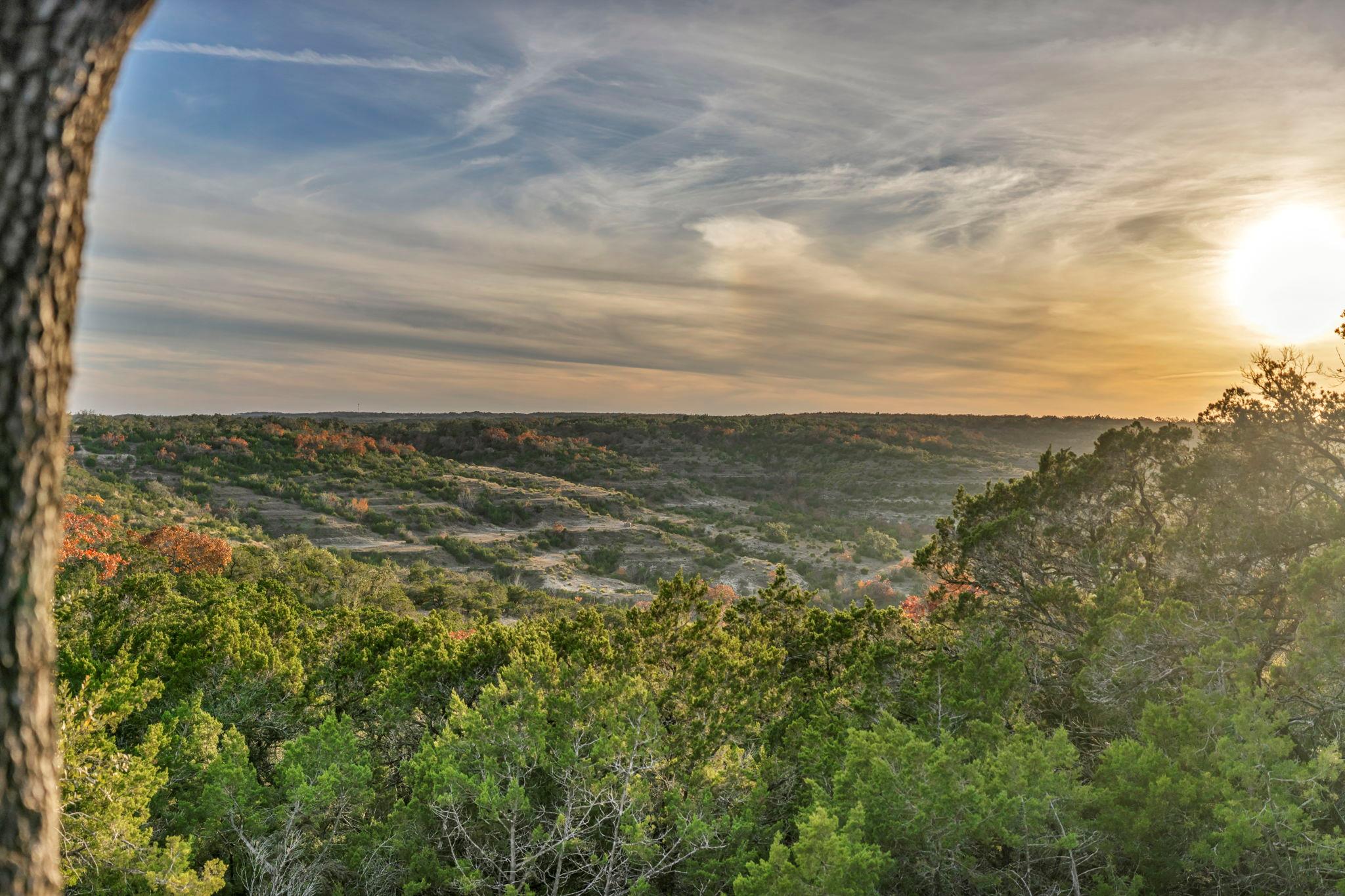 3300 Fm 165 Lot 13a, Dripping Springs, TX 78620