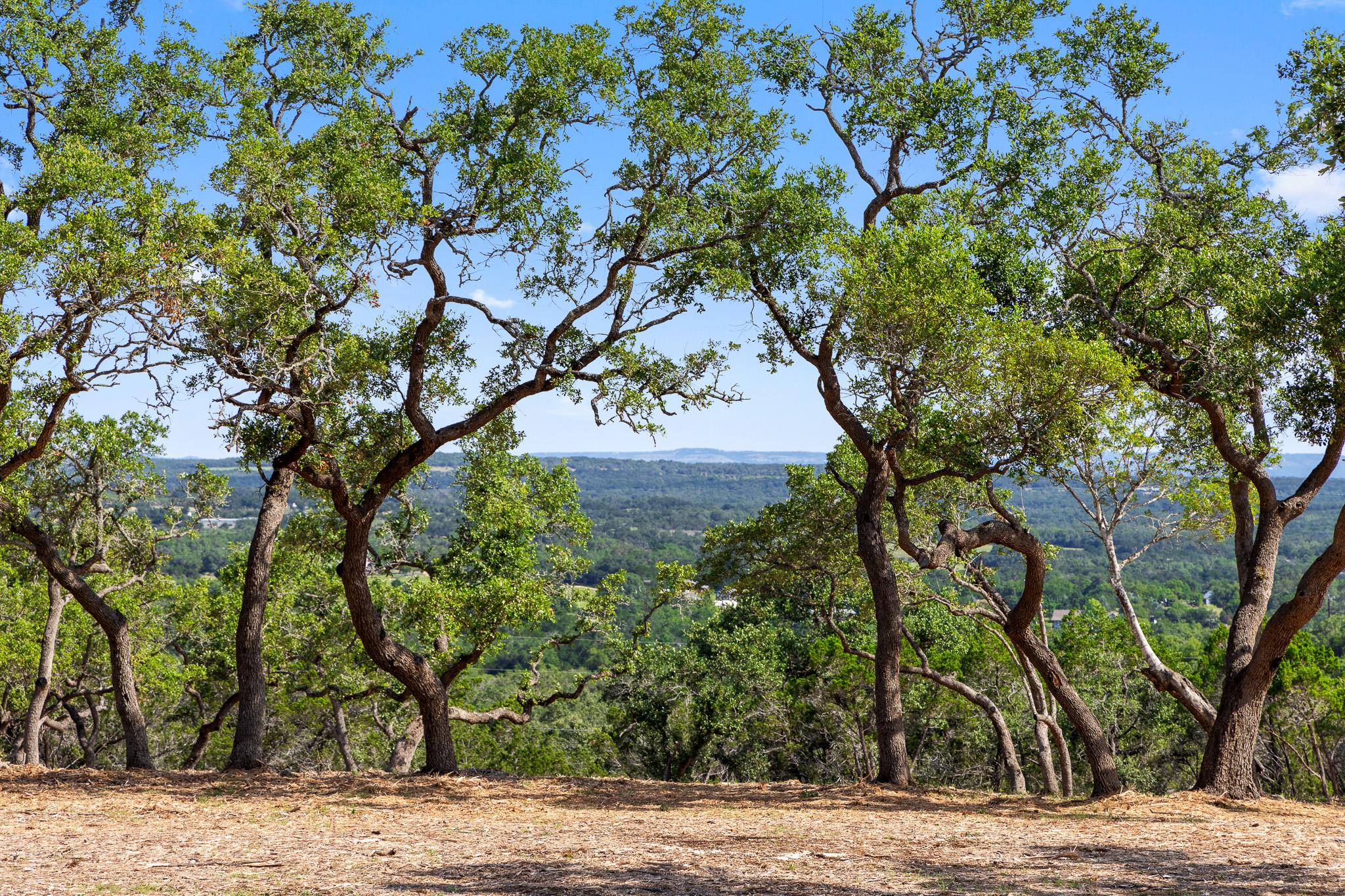 9475 Fm 32 Lot 9, Fischer, TX 78623