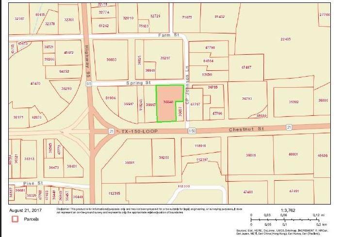 1804 Chestnut ST, Bastrop, TX 78602