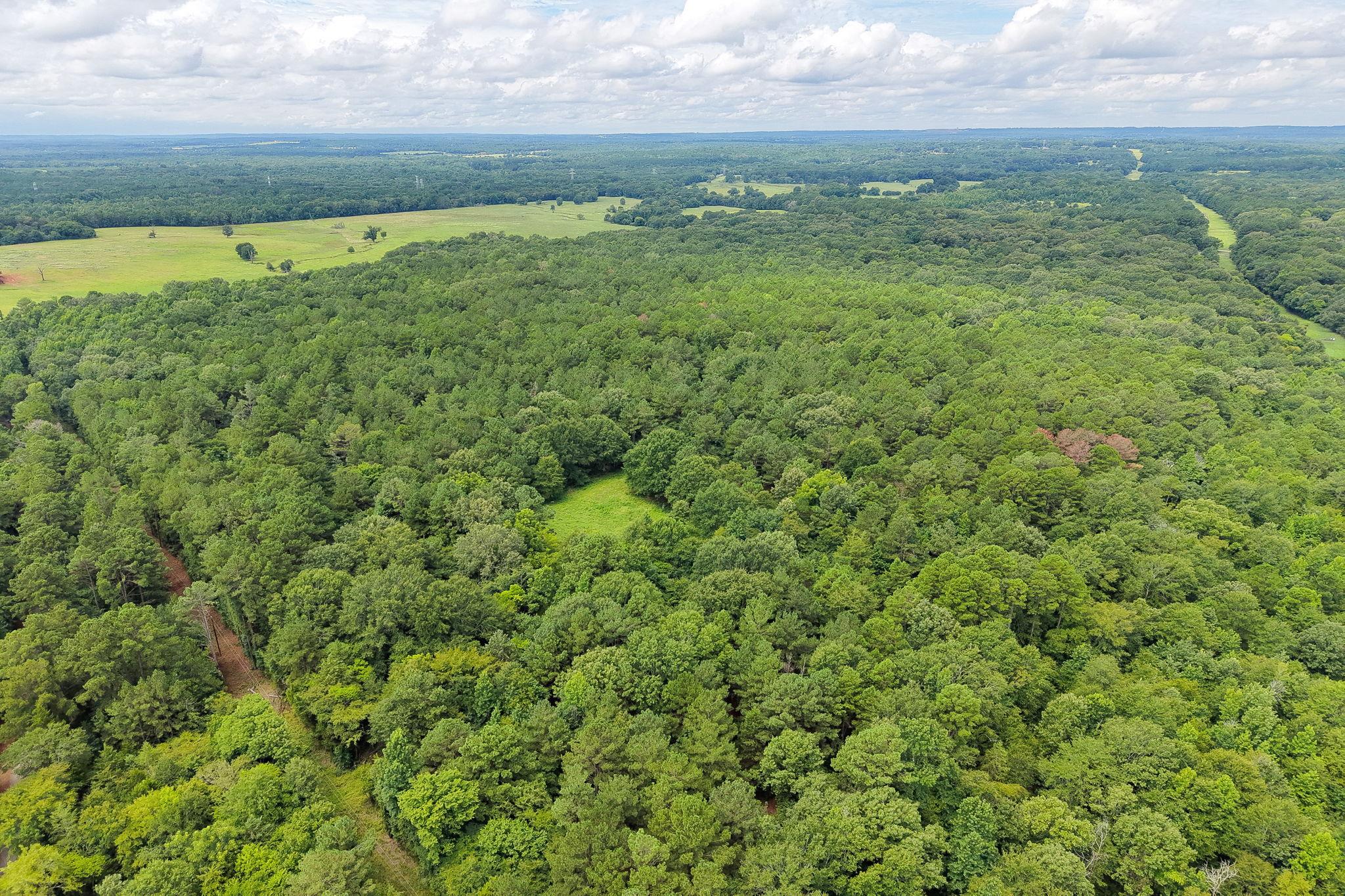 860-852 Co Rd 4224, Troup, TX 75785