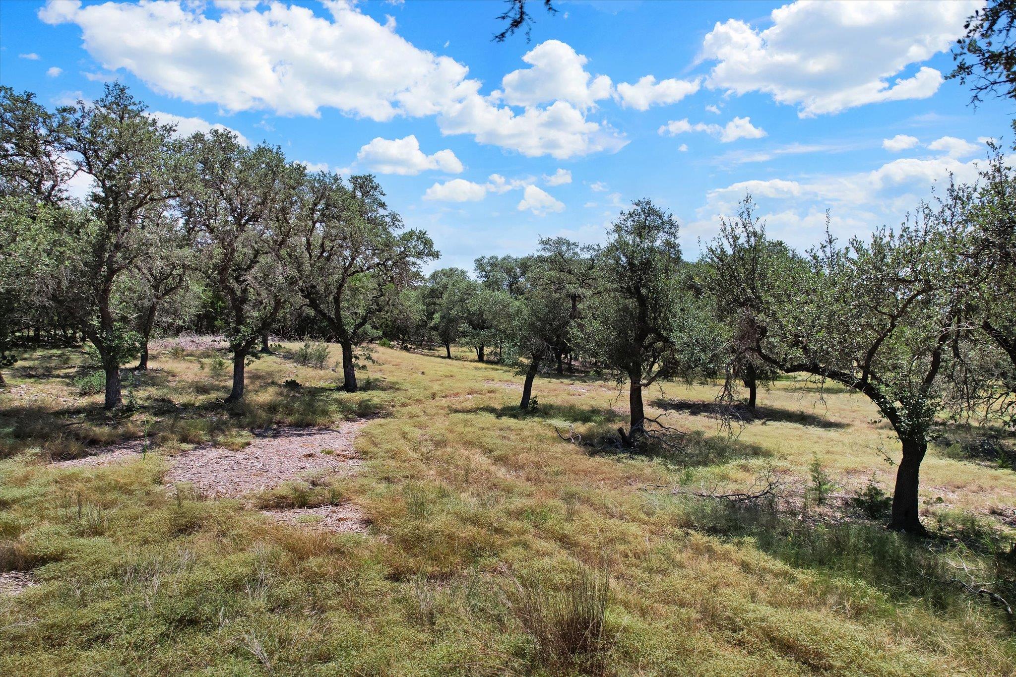 539 Clay RDG, Canyon Lake, TX 78133