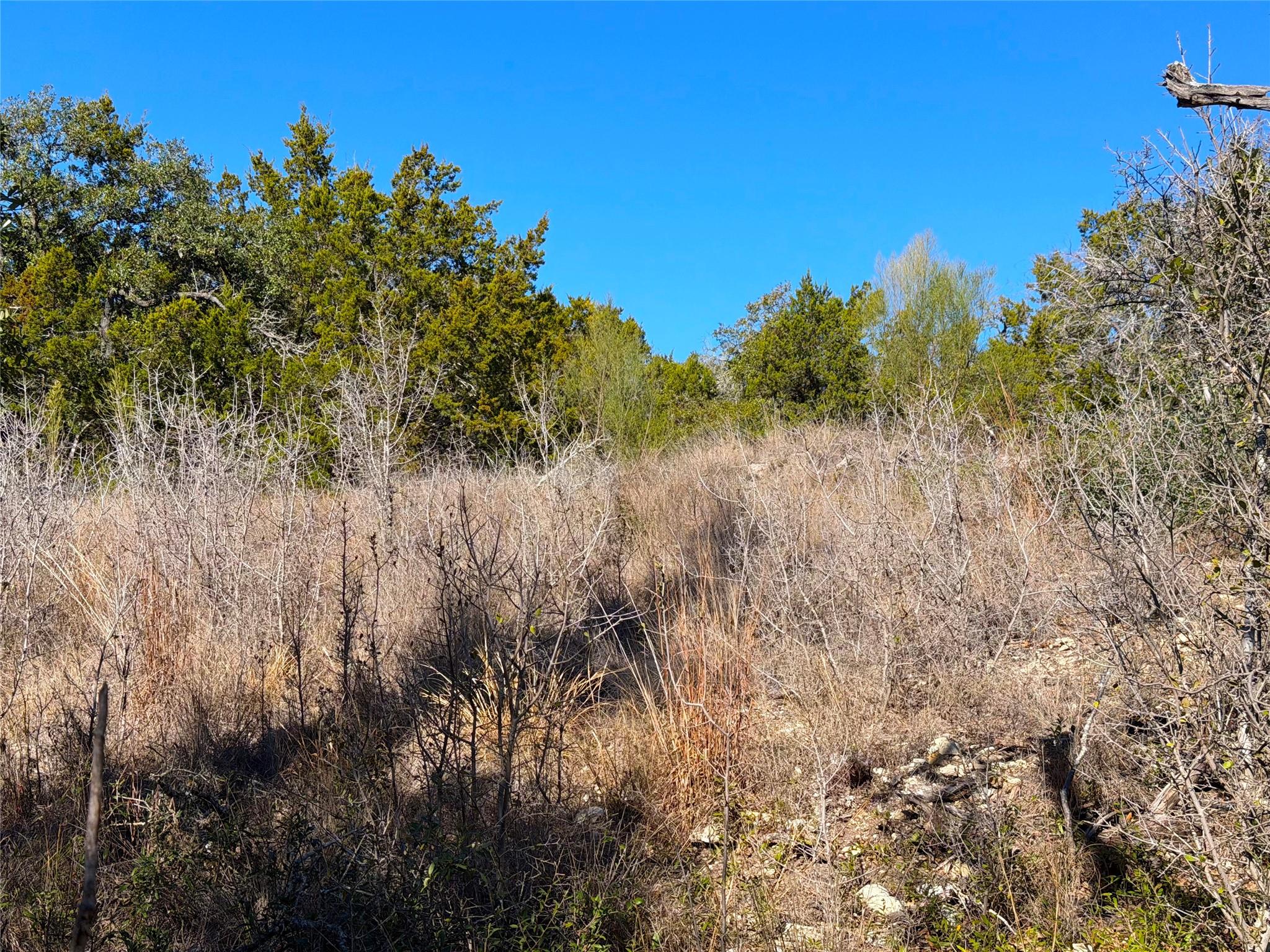 1178 Primrose Pa, Canyon Lake, TX 78133