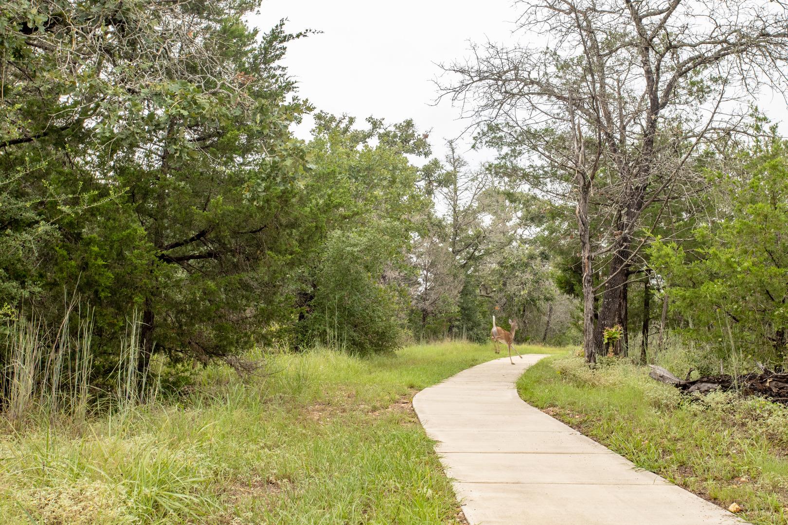 227 Kingswood DR, Bastrop, TX 78602