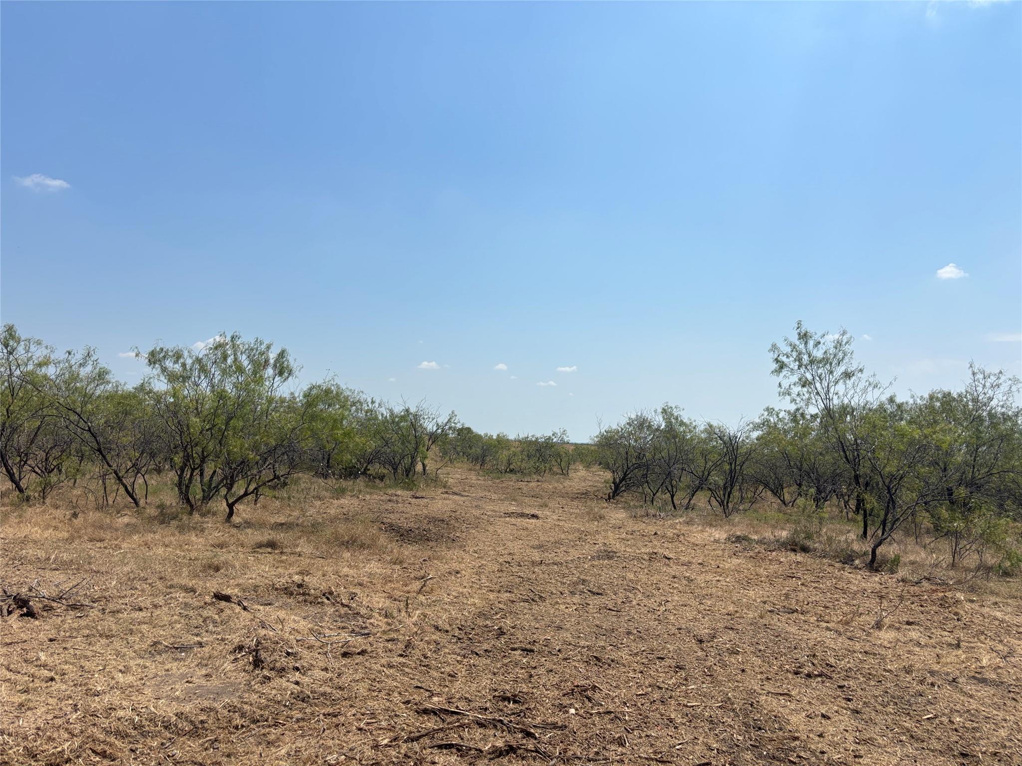 TBD 10.04 AC County Road 413, Thorndale, TX 76577