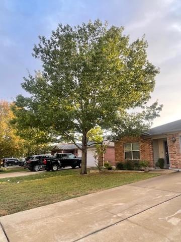 280 Spruce DR, Kyle, TX 78640