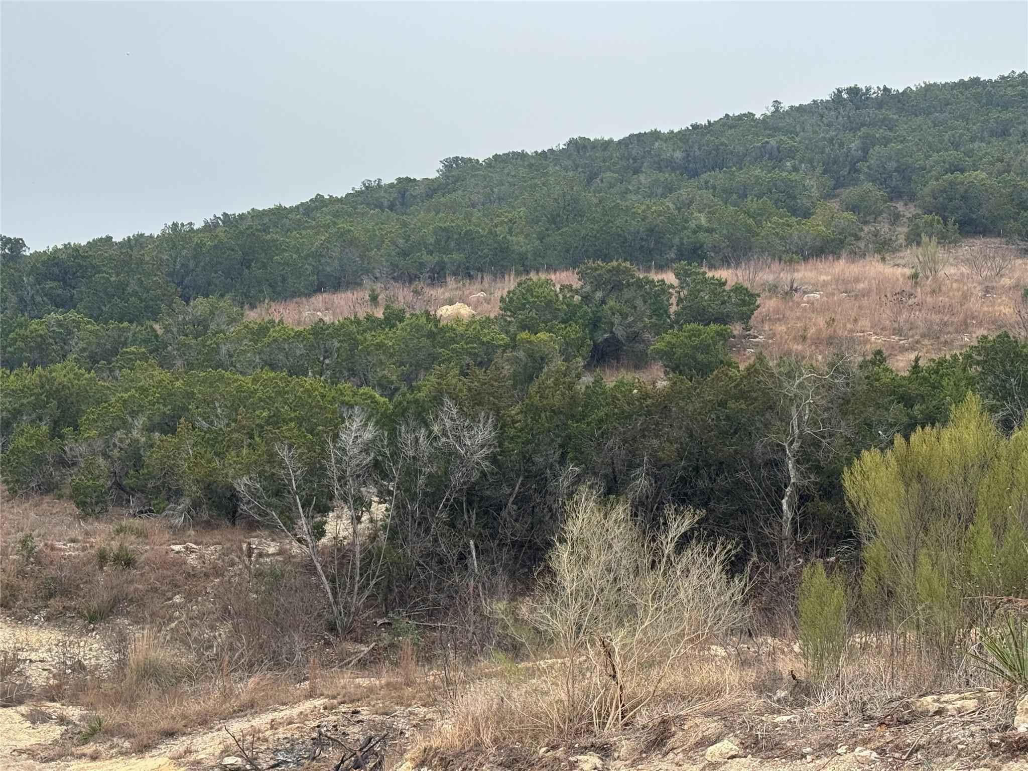 0 Cherry Hollow XING, Leander, TX 78641