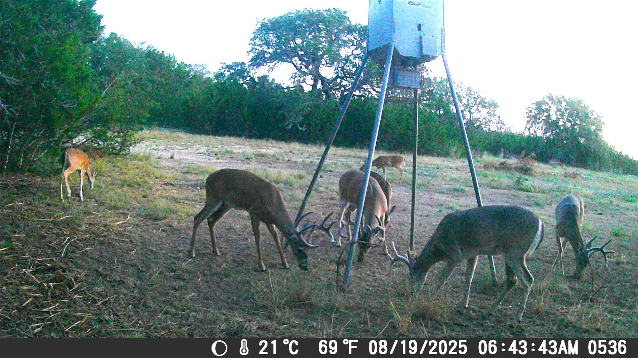 TBD Cr 206, Lampasas, TX 76550