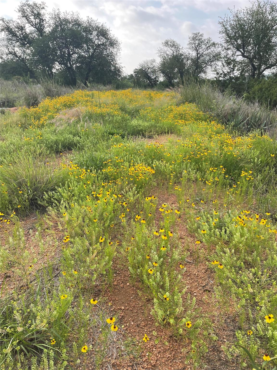 LOT 48 Inksview LN, Kingsland, TX 78639