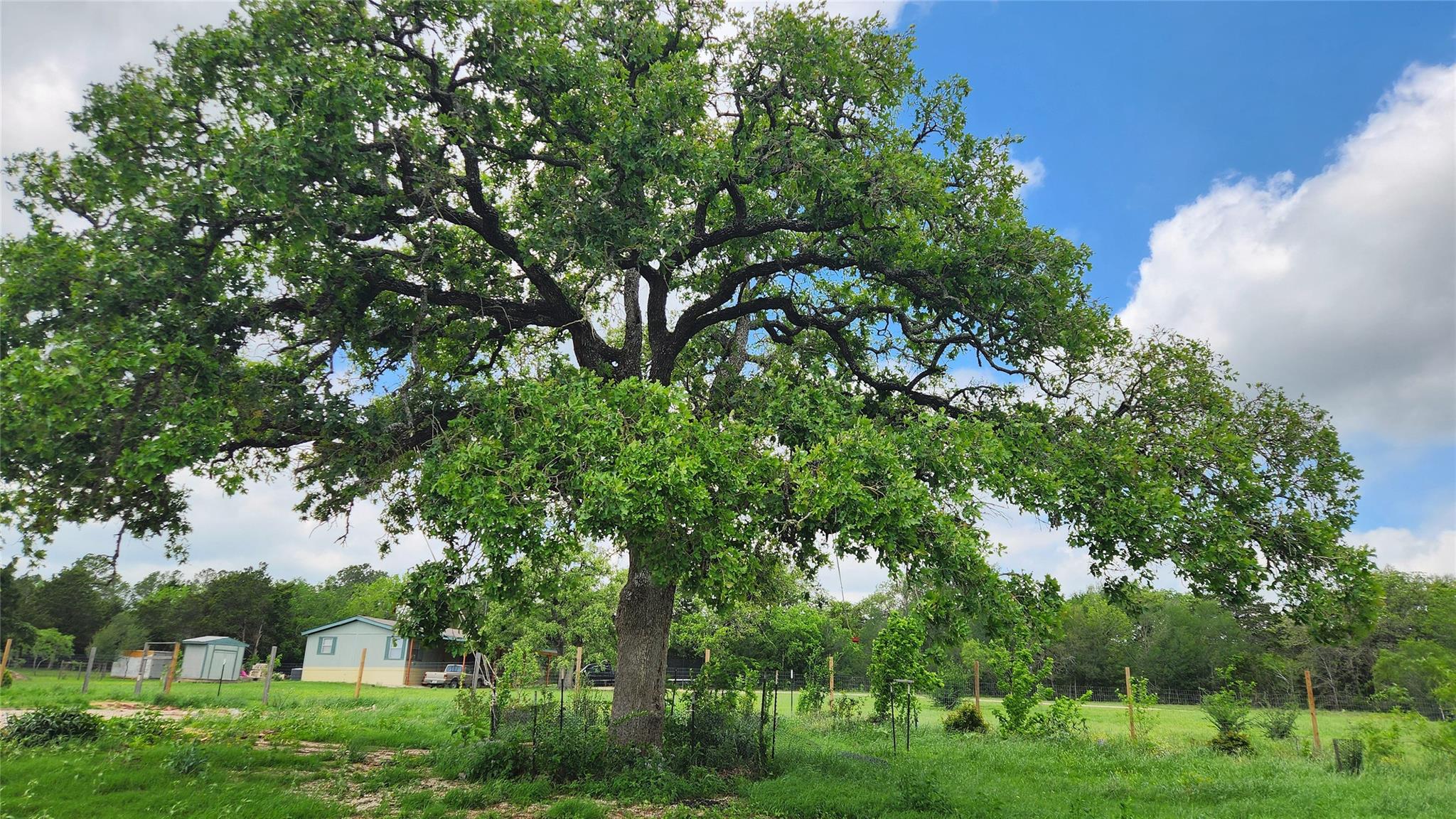 155 Arbuckle RD, Elgin, TX 78621