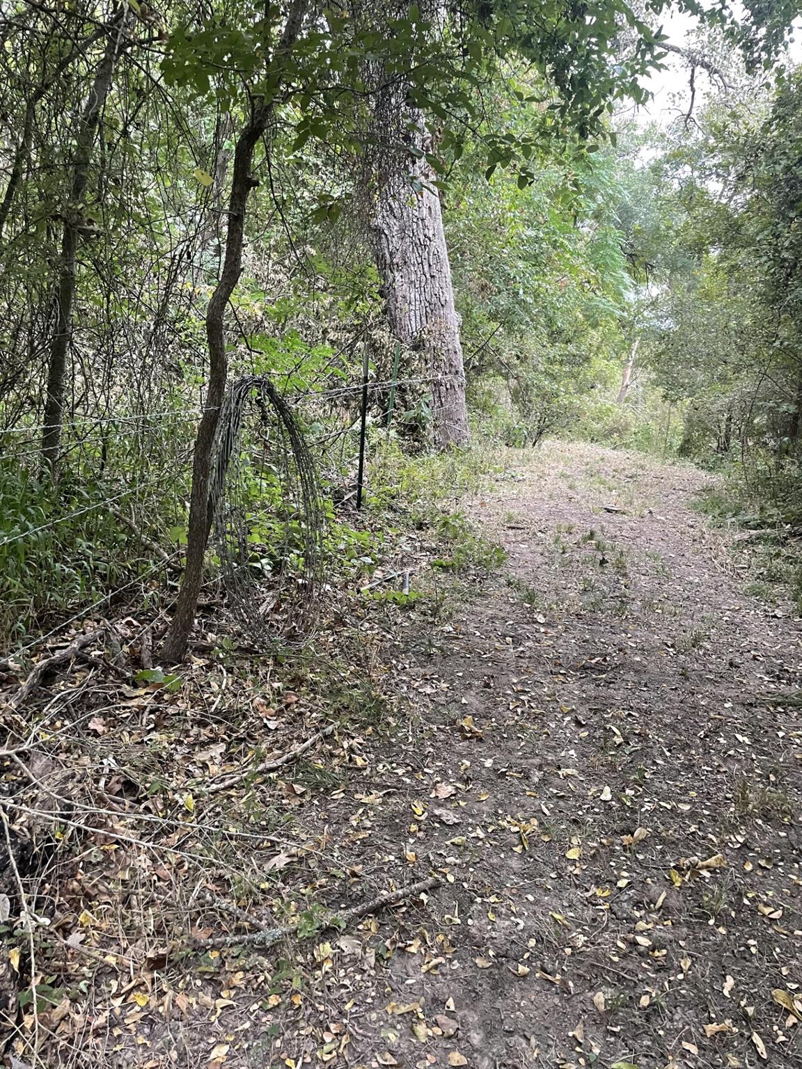 TBD Donahue Road RD, Bartlett, TX 76511