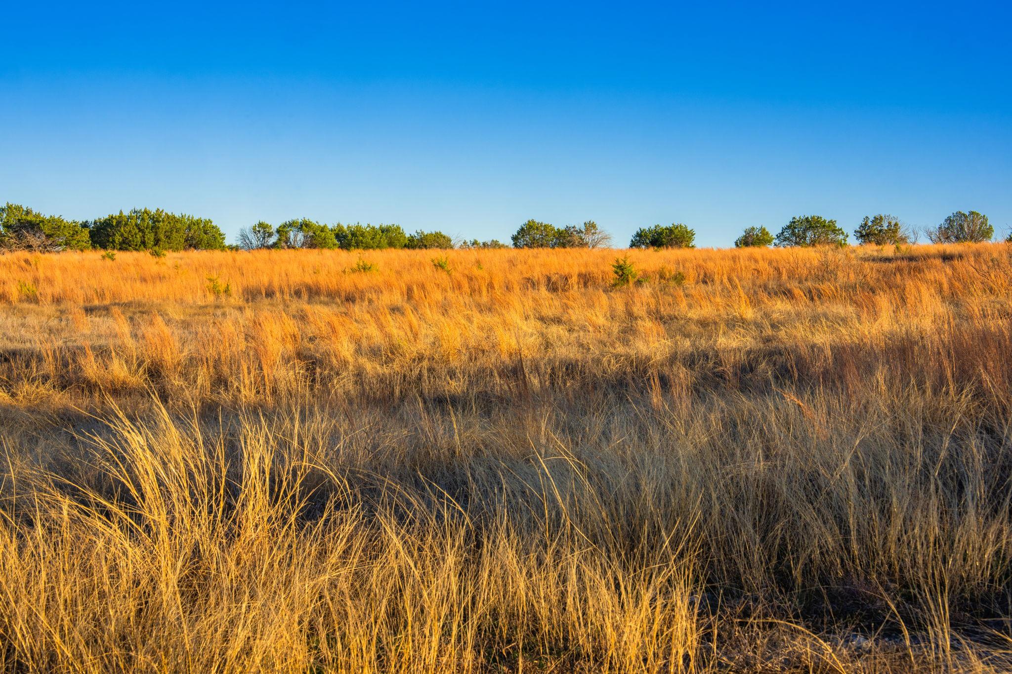 TBD Fm 1047, Lometa, TX 76853