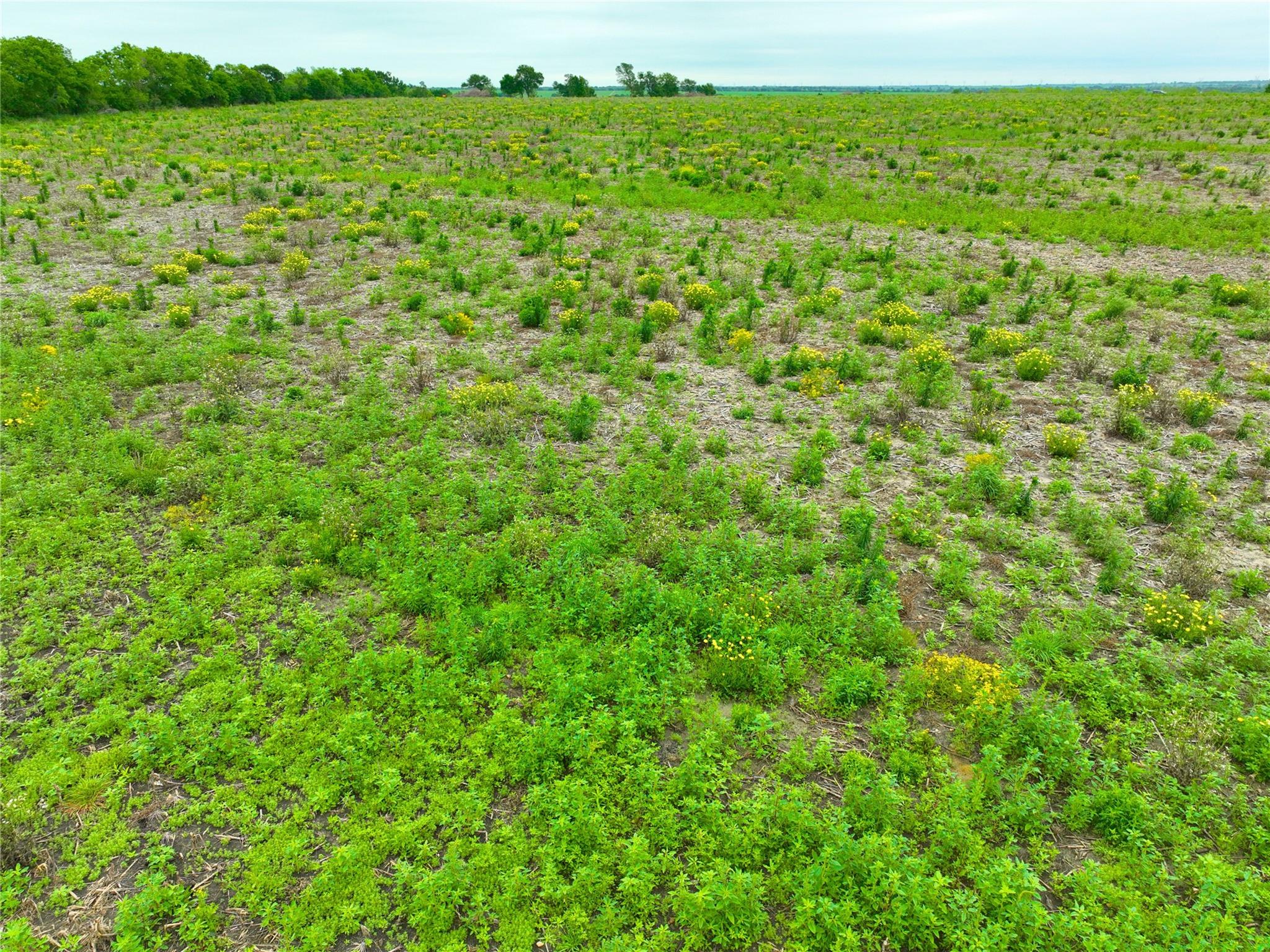 0 132 RD, Burlington, TX 76518