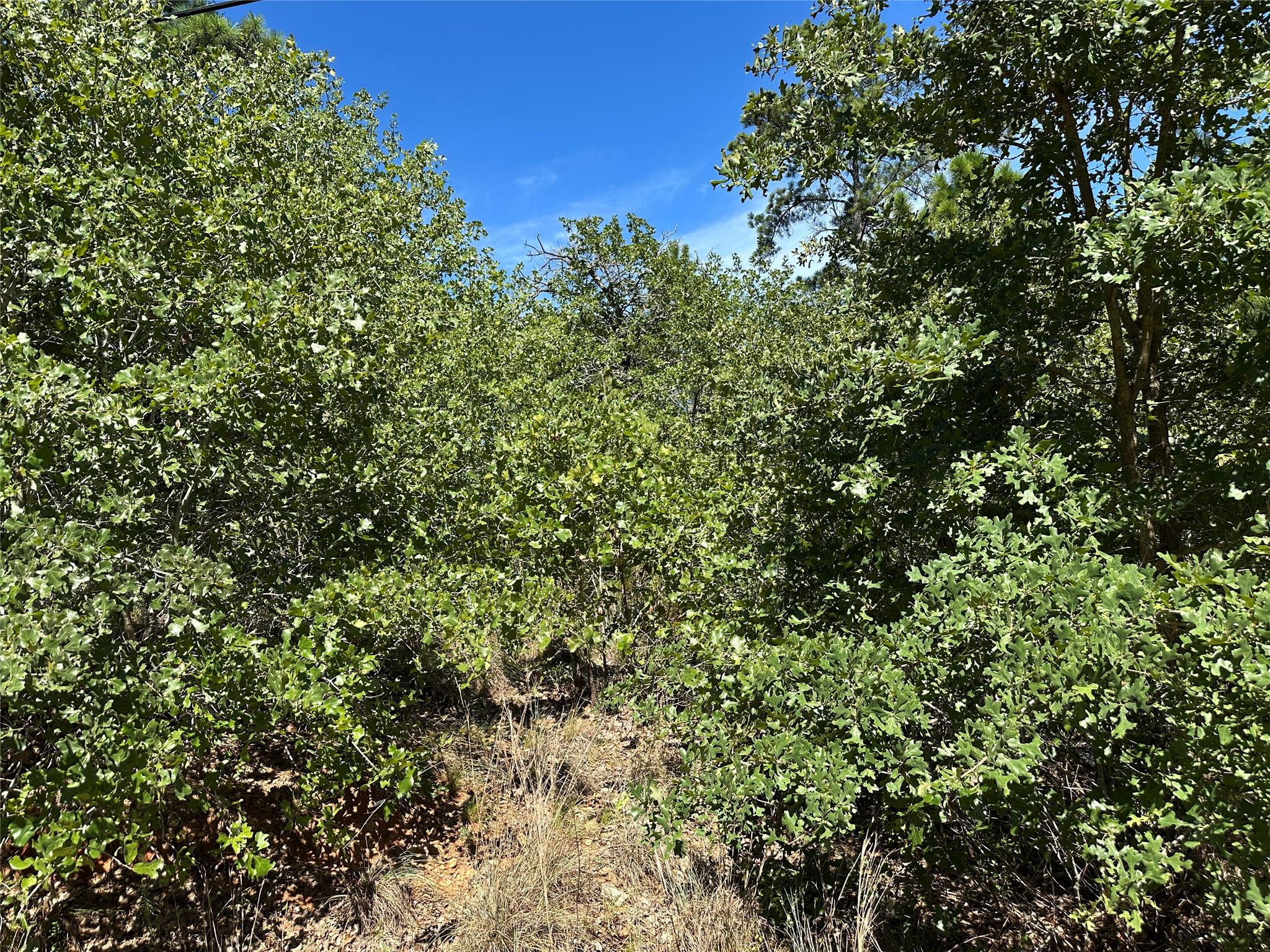 TBD N Pahihi DR, Bastrop, TX 78602