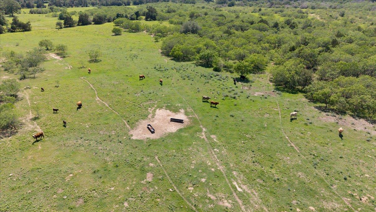 3628 S Highway 304, Rosanky, TX 78953