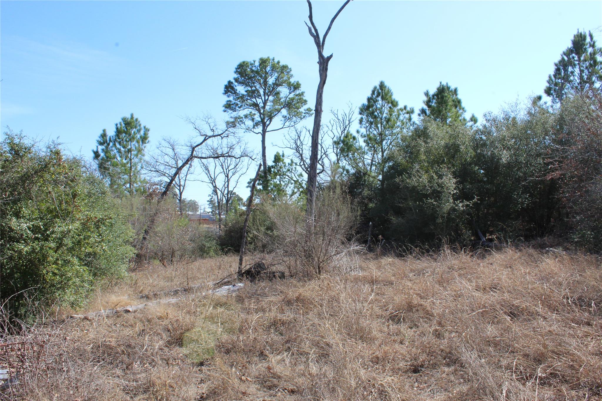 736 Highway 21 Hw E, Bastrop, TX 78602