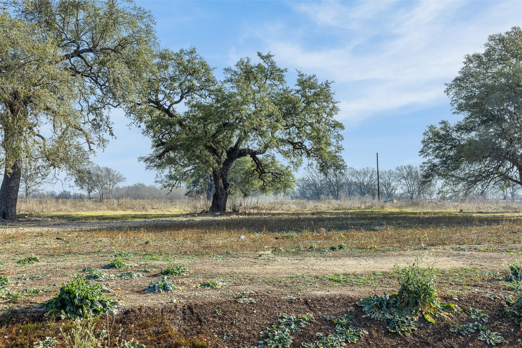 598 Nw River RD, Martindale, TX 78655