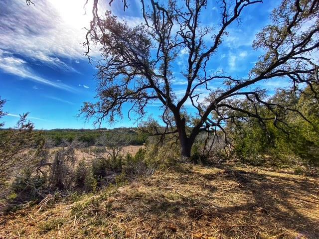 TBD County Road 2699, Goldthwaite, TX 76853