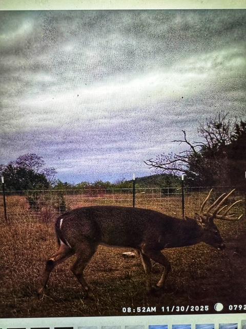 TBD County Road 2699, Goldthwaite, TX 76853