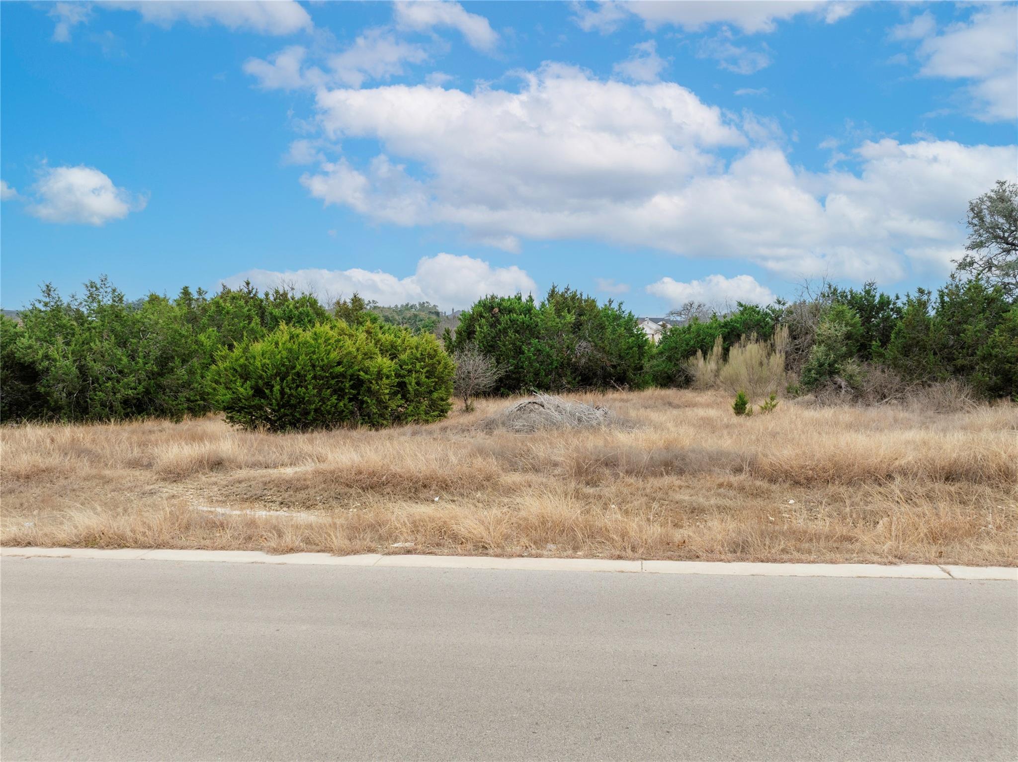 220 Lantana Bud TRL, Liberty Hill, TX 78642