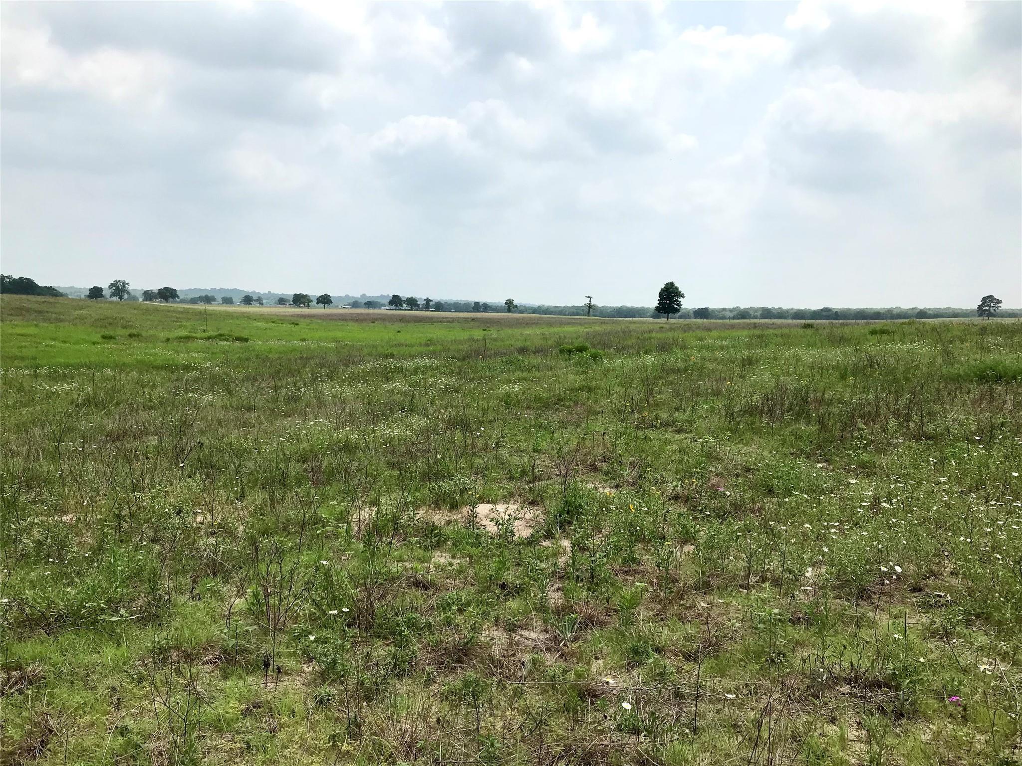 1672 Tract 3 Sayers RD, Bastrop, TX 78602