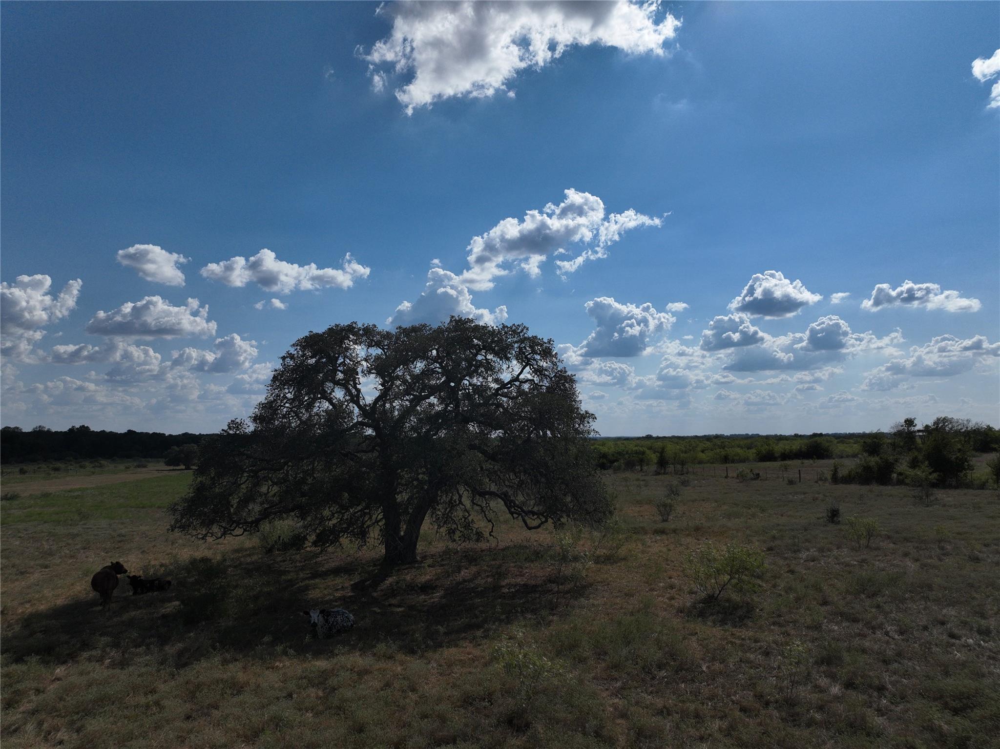 TBD Lot 1 Tenney Creek RD, Dale, TX 78616