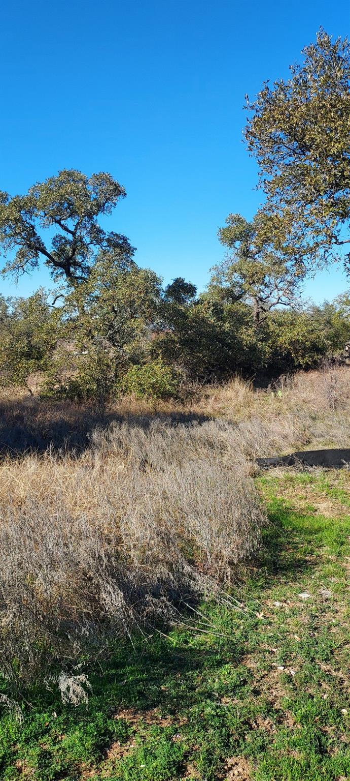 Lot 50 Pristine Ps, Buchanan Dam, TX 78609