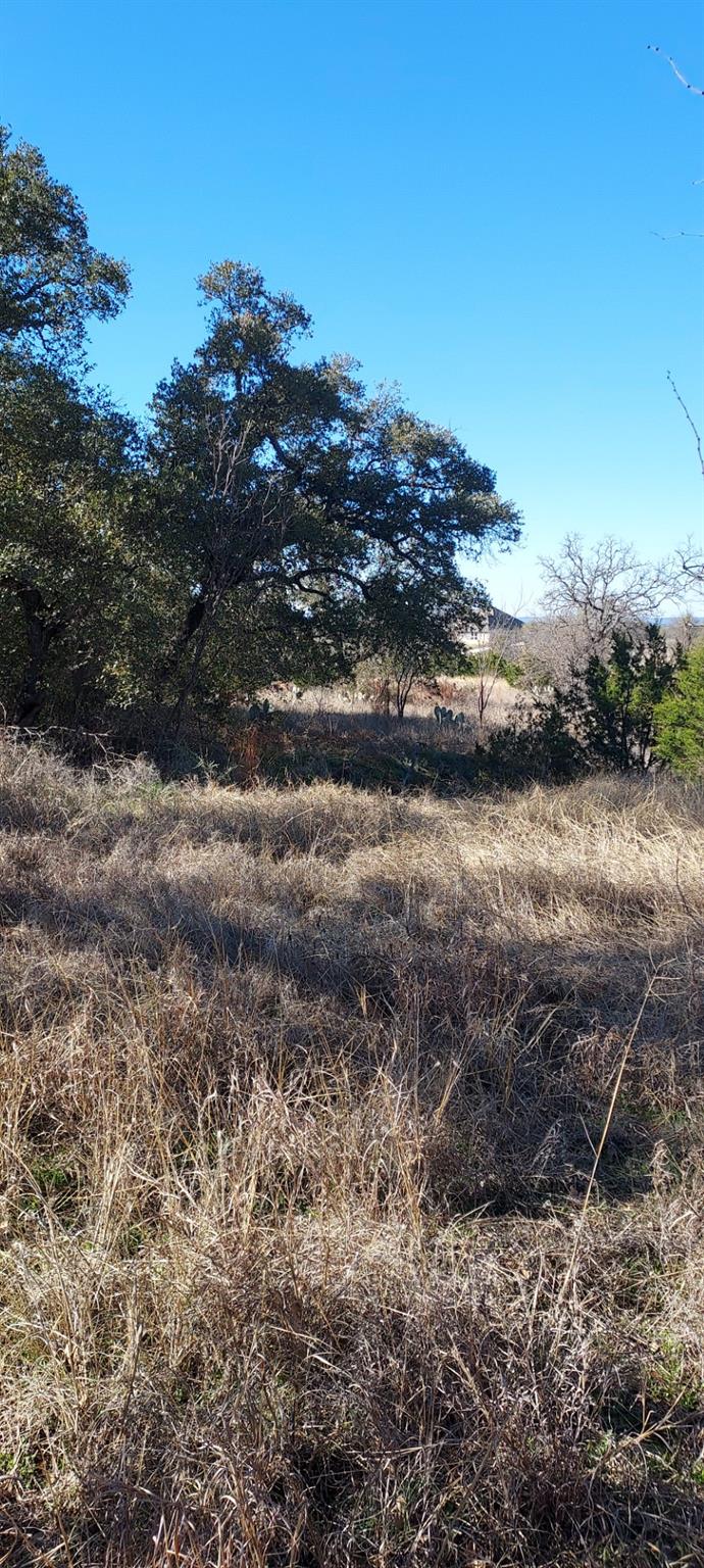 Lot 50 Pristine Ps, Buchanan Dam, TX 78609