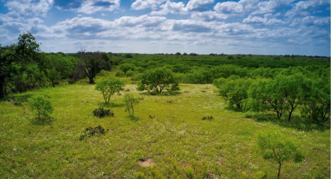 509 Sandy Lane RD, Mason, TX 76856