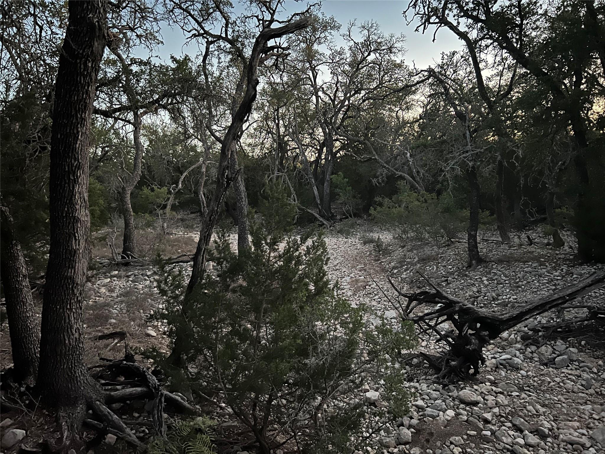 TBD County Road 450, Rocksprings, TX 78880