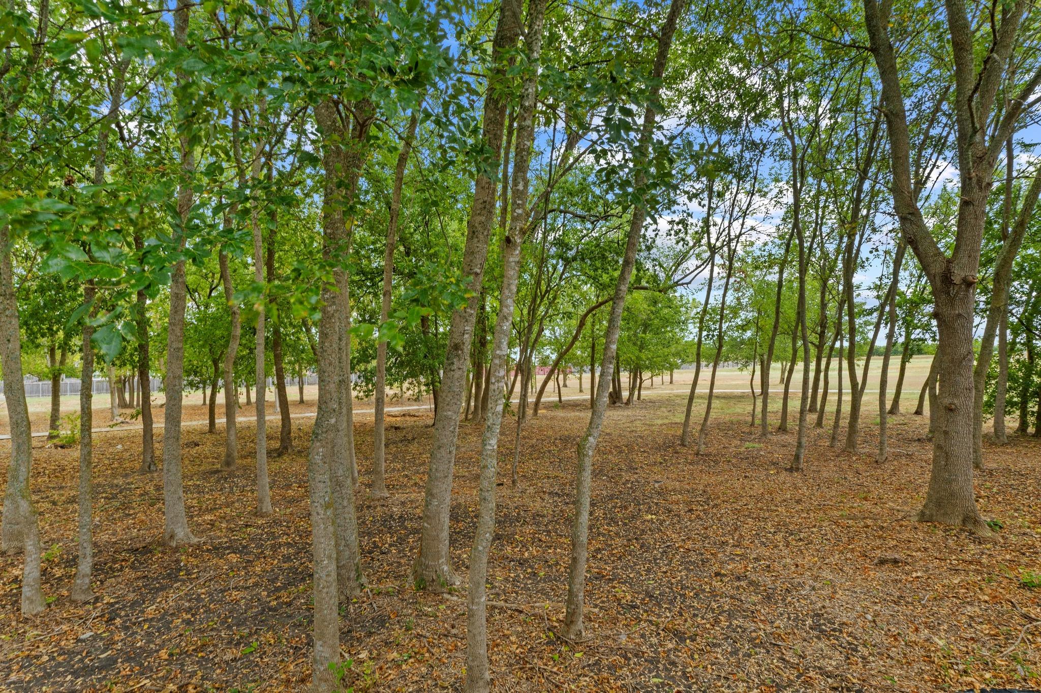 1020 Portchester Castle Pa, Pflugerville, TX 78660