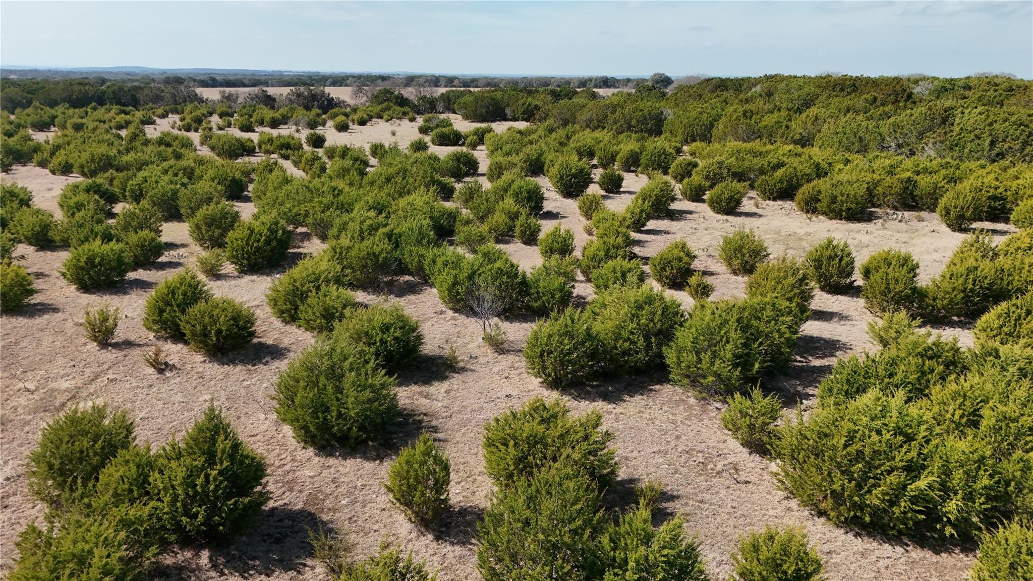 Lot 42 Starfall DR, Lampasas, TX 76550