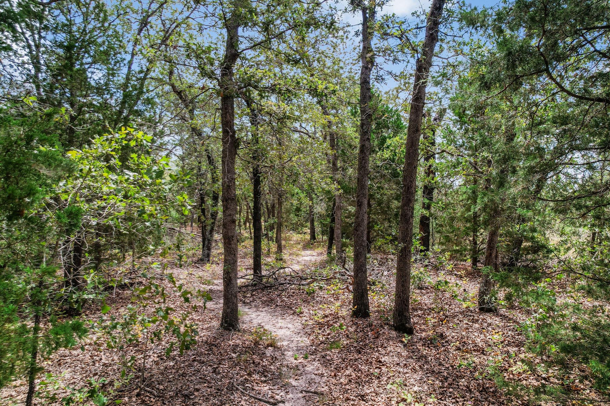 TBD Christensen RD, Elgin, TX 78621