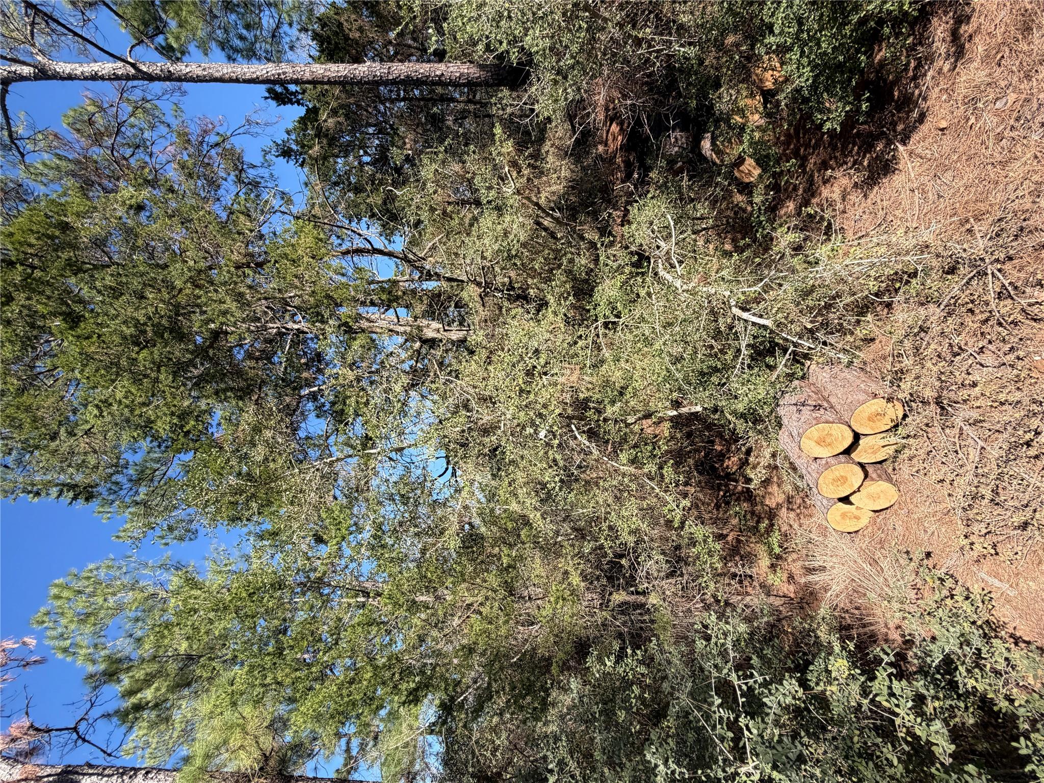 Lot 320 Keneka LN, Bastrop, TX 78602