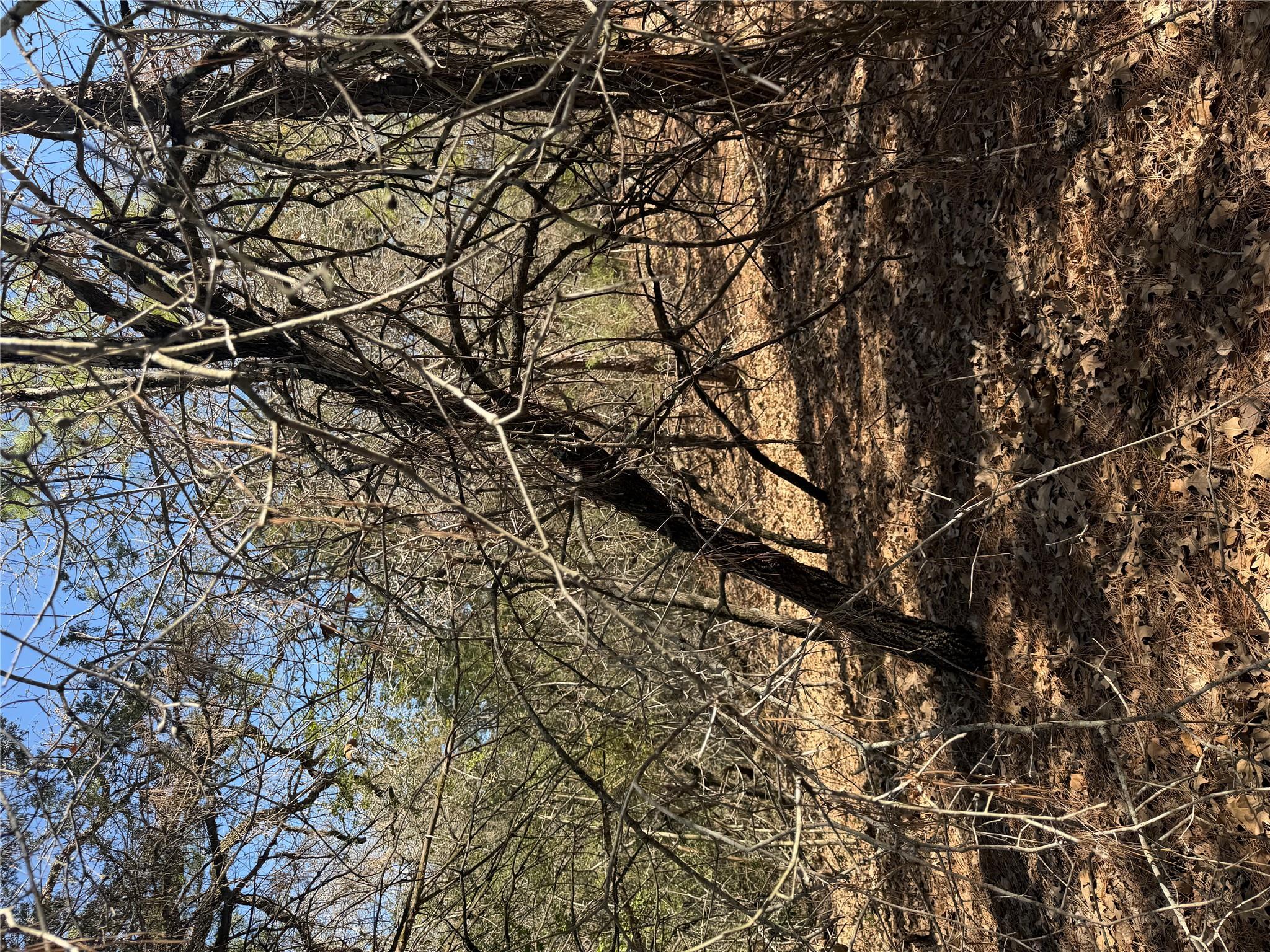 Lot 321 Keneka LN, Bastrop, TX 78602