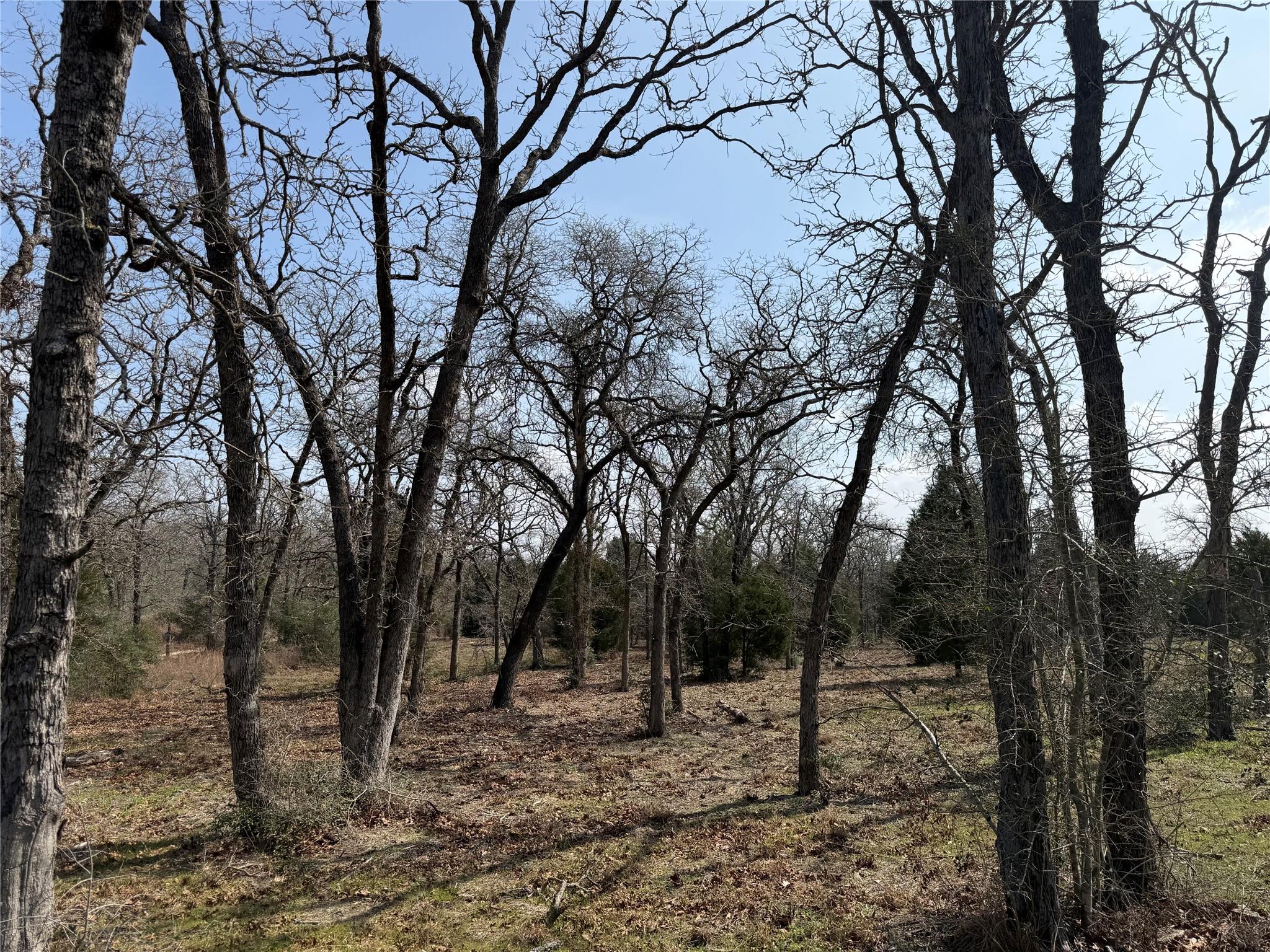 TBD N County Line RD, Elgin, TX 78621