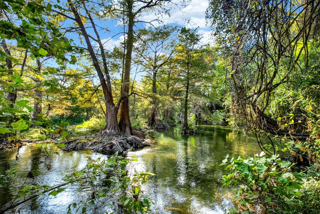 730 E Mather ST #B101, New Braunfels, TX 78130