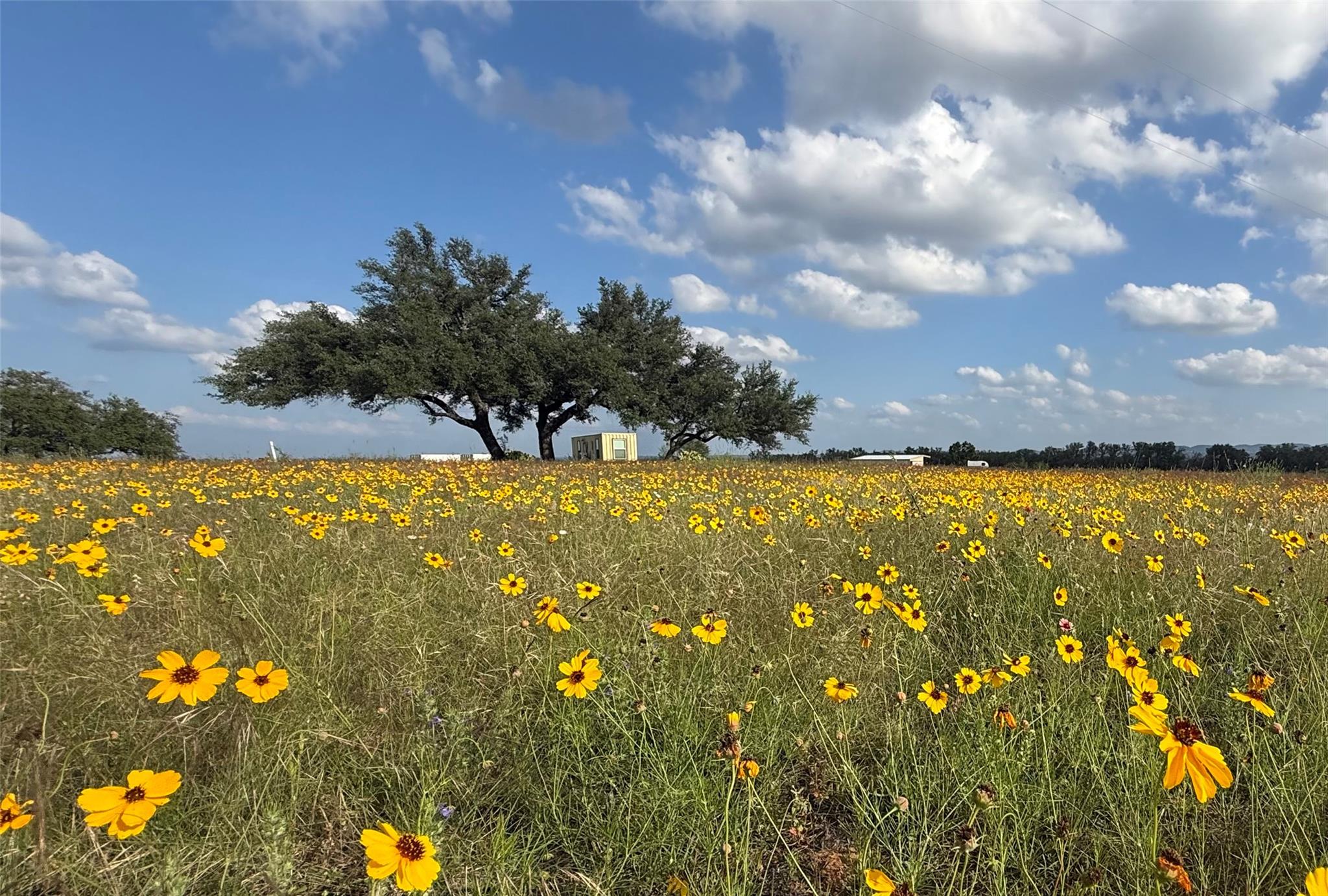 2502 Ranch Road 1323, Johnson City, TX 78636