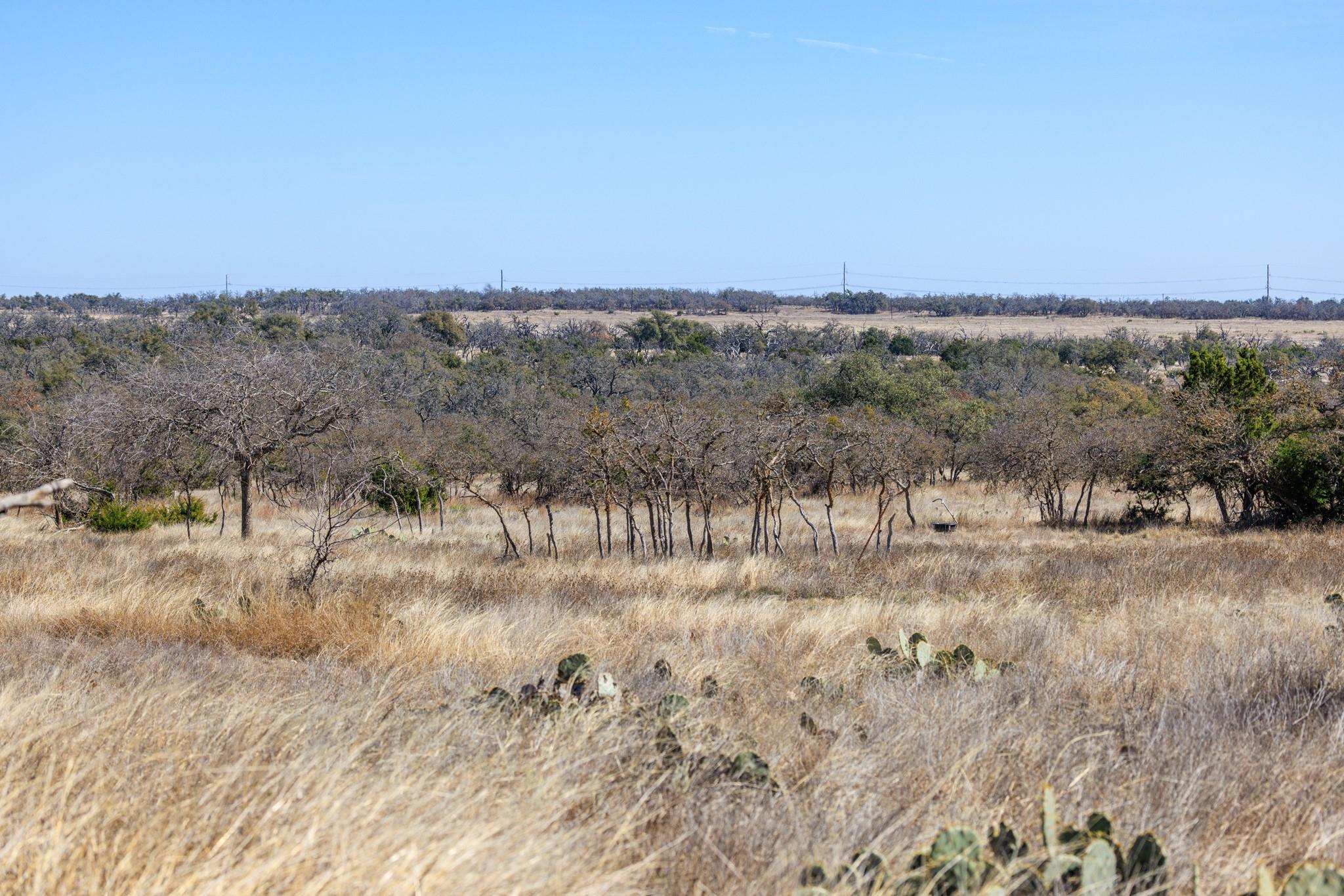 2020 Wendel RD, Harper, TX 78631