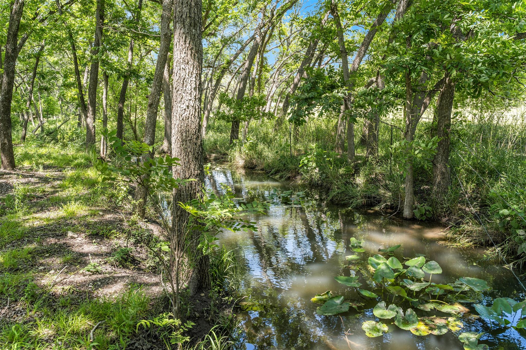 15646 Fm 2843, Salado, TX 76571