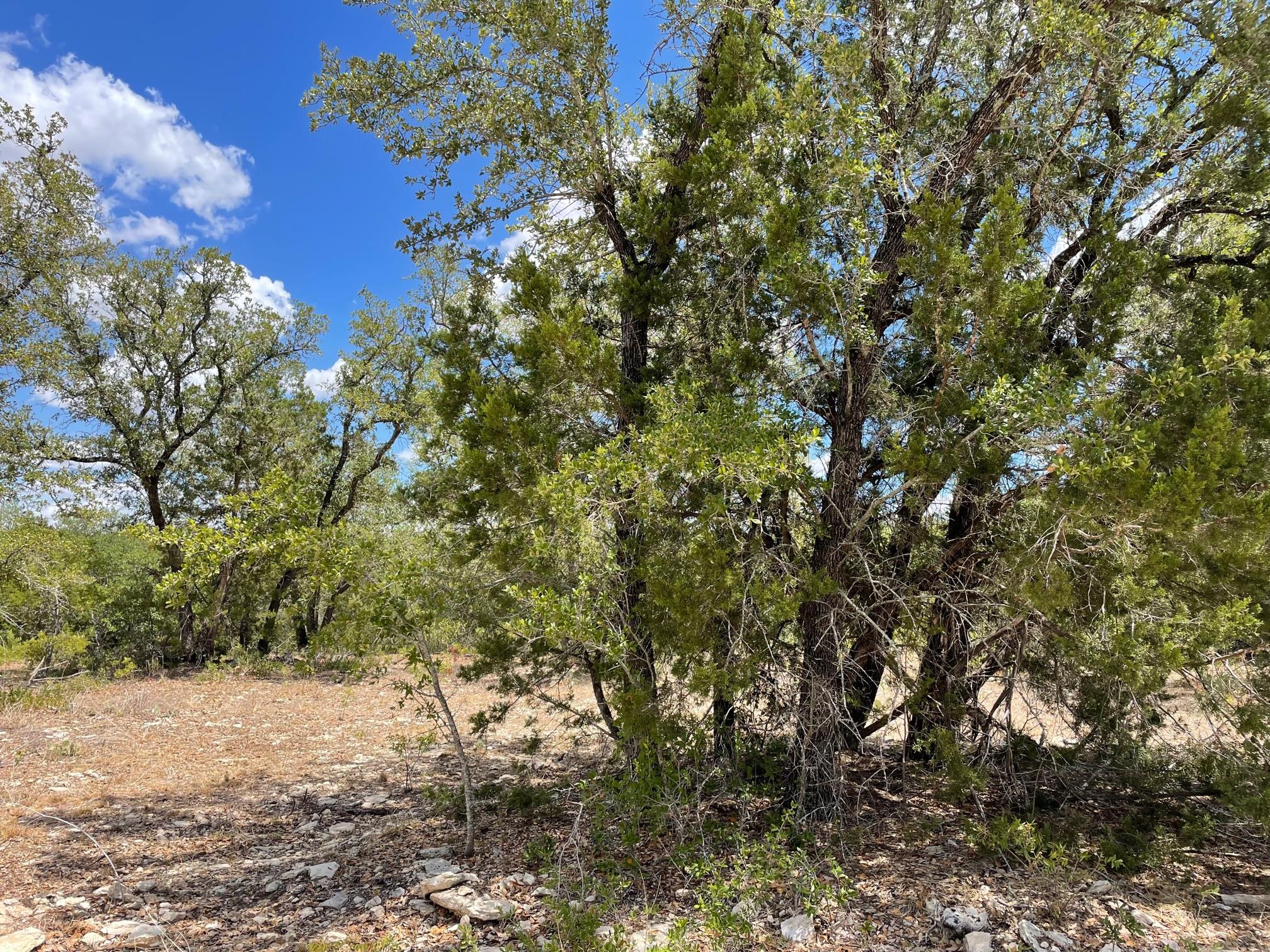 TBD HWY 183 Tbd Hwy 183 Hw, Lampasas, TX 76550