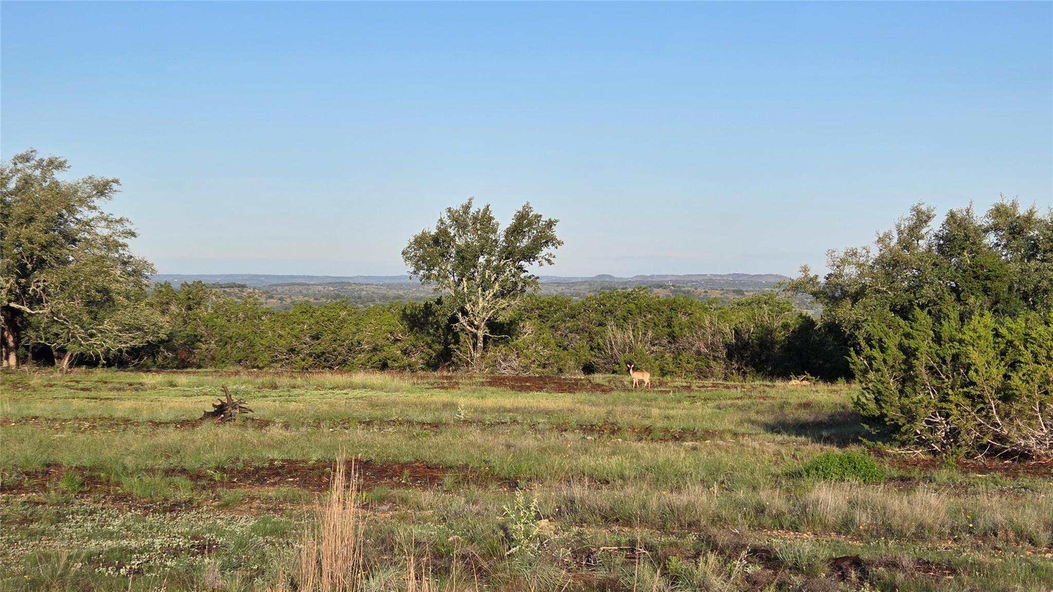 219 Canyon RD, Johnson City, TX 78636