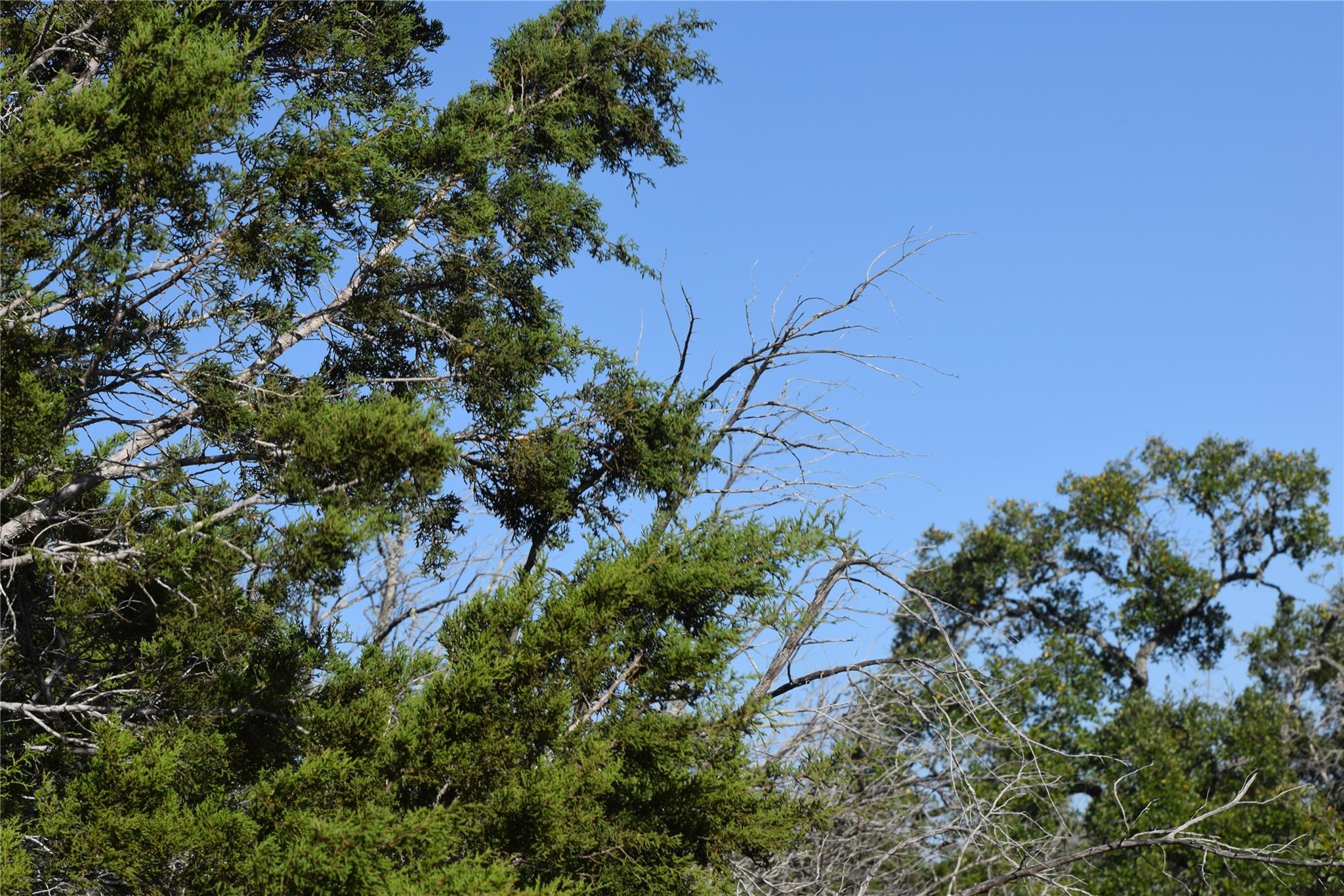 TBD Cheyenne TRL, Wimberley, TX 78676