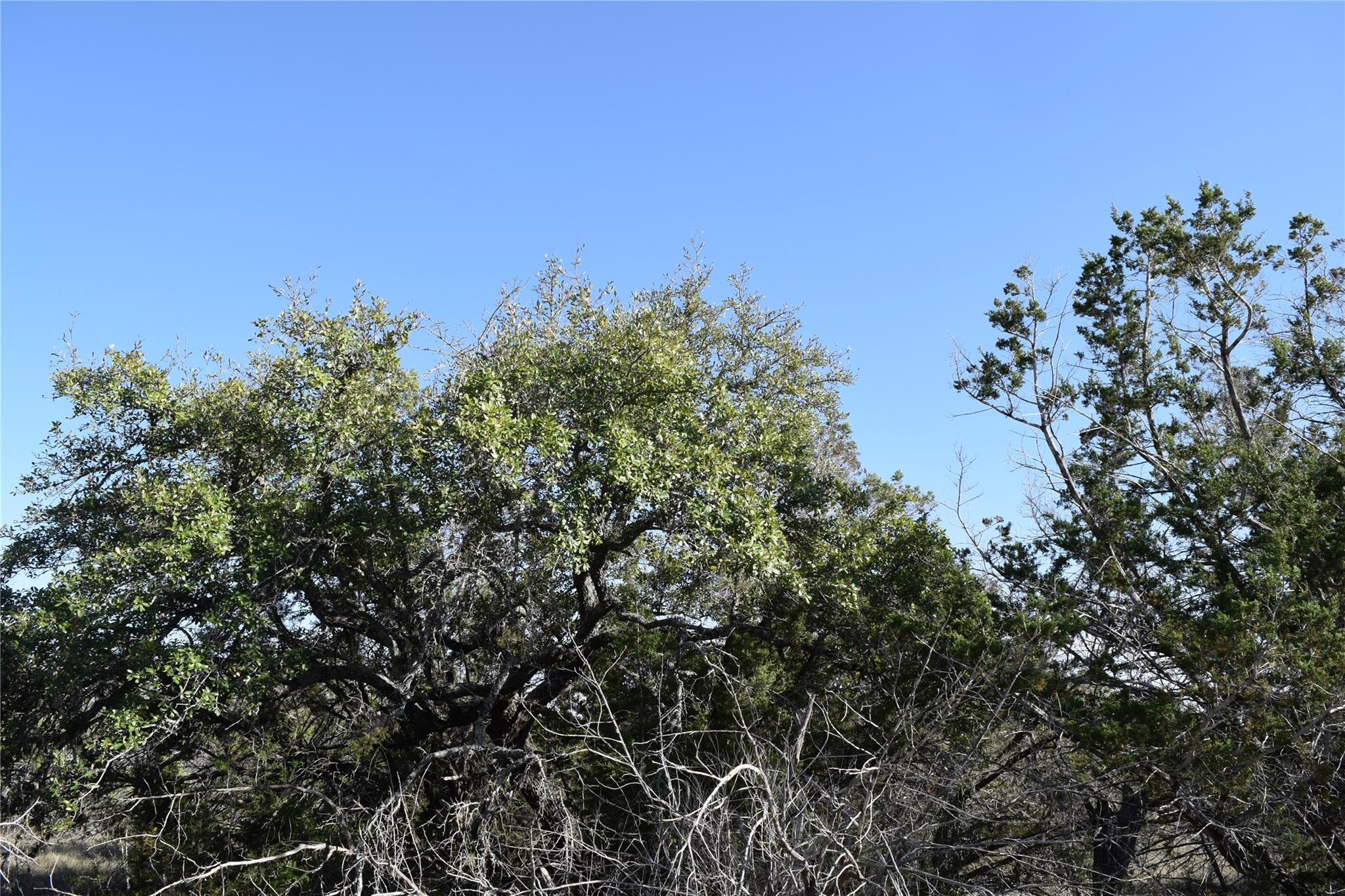 TBD Cheyenne TRL, Wimberley, TX 78676