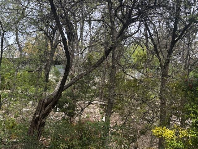 1204 Yaupon Valley RD #A&B, West Lake Hills, TX 78746