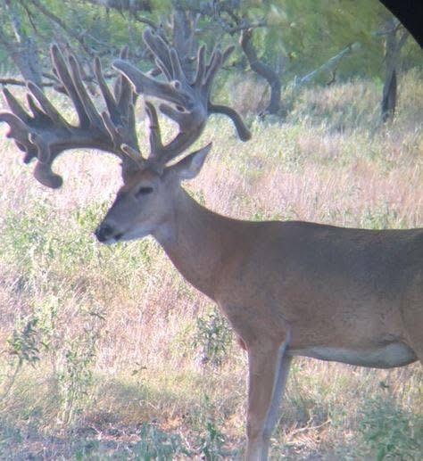 2313 E Us Highway 79, Rockdale, TX 76567