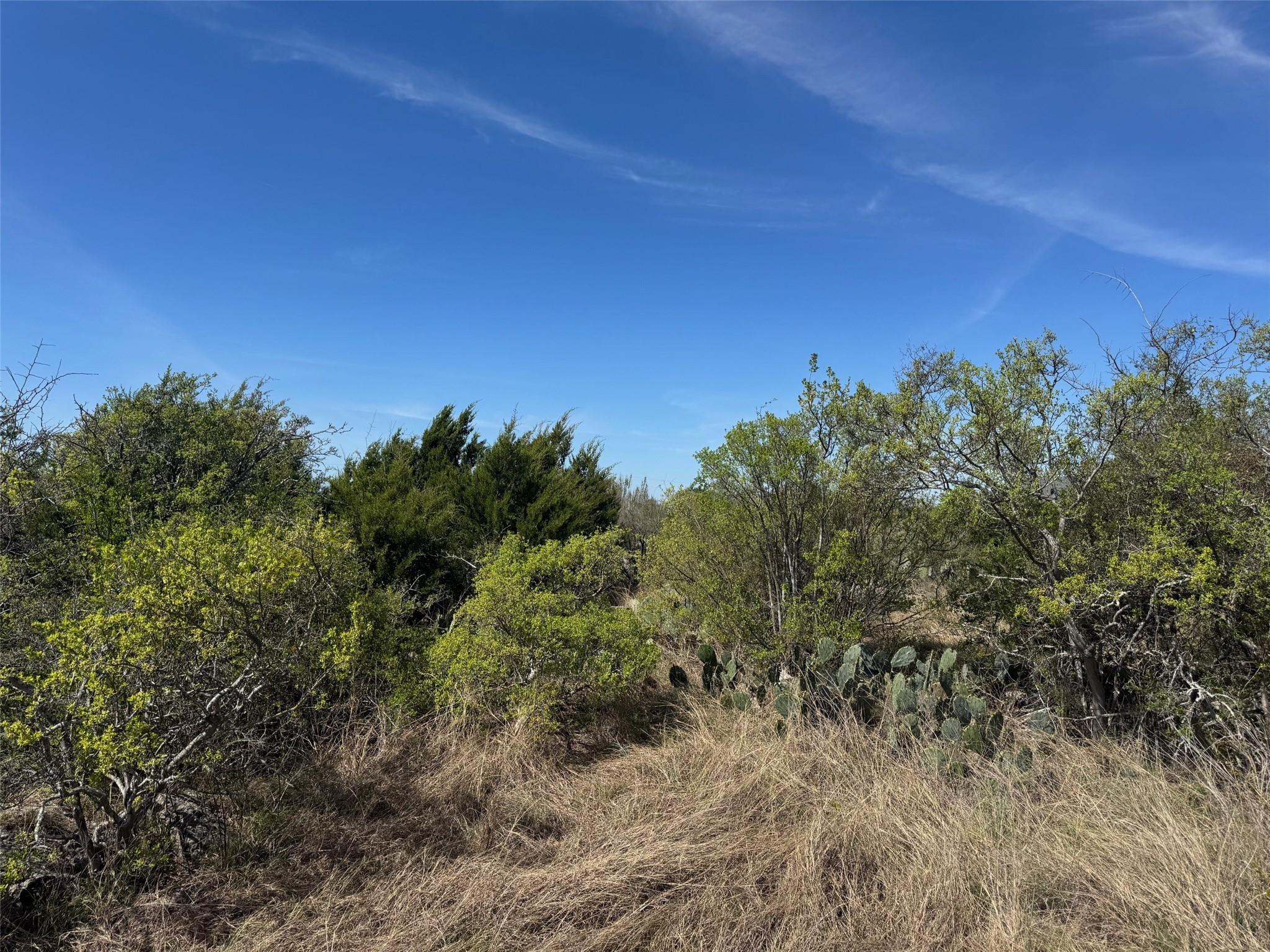 Lot 158 Sierra DR, Bertram, TX 78605