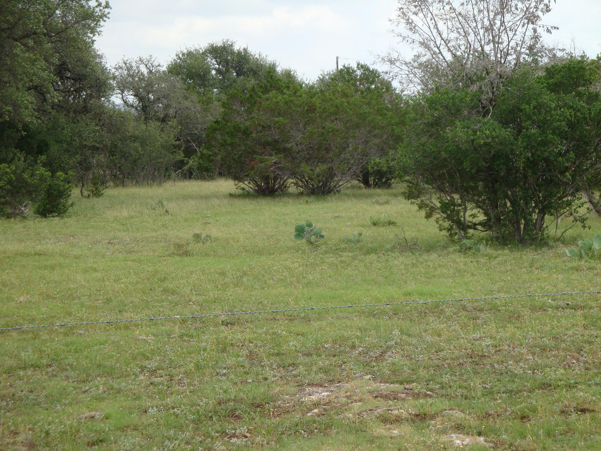 1619 Althaus Ranch RD, Johnson City, TX 78636