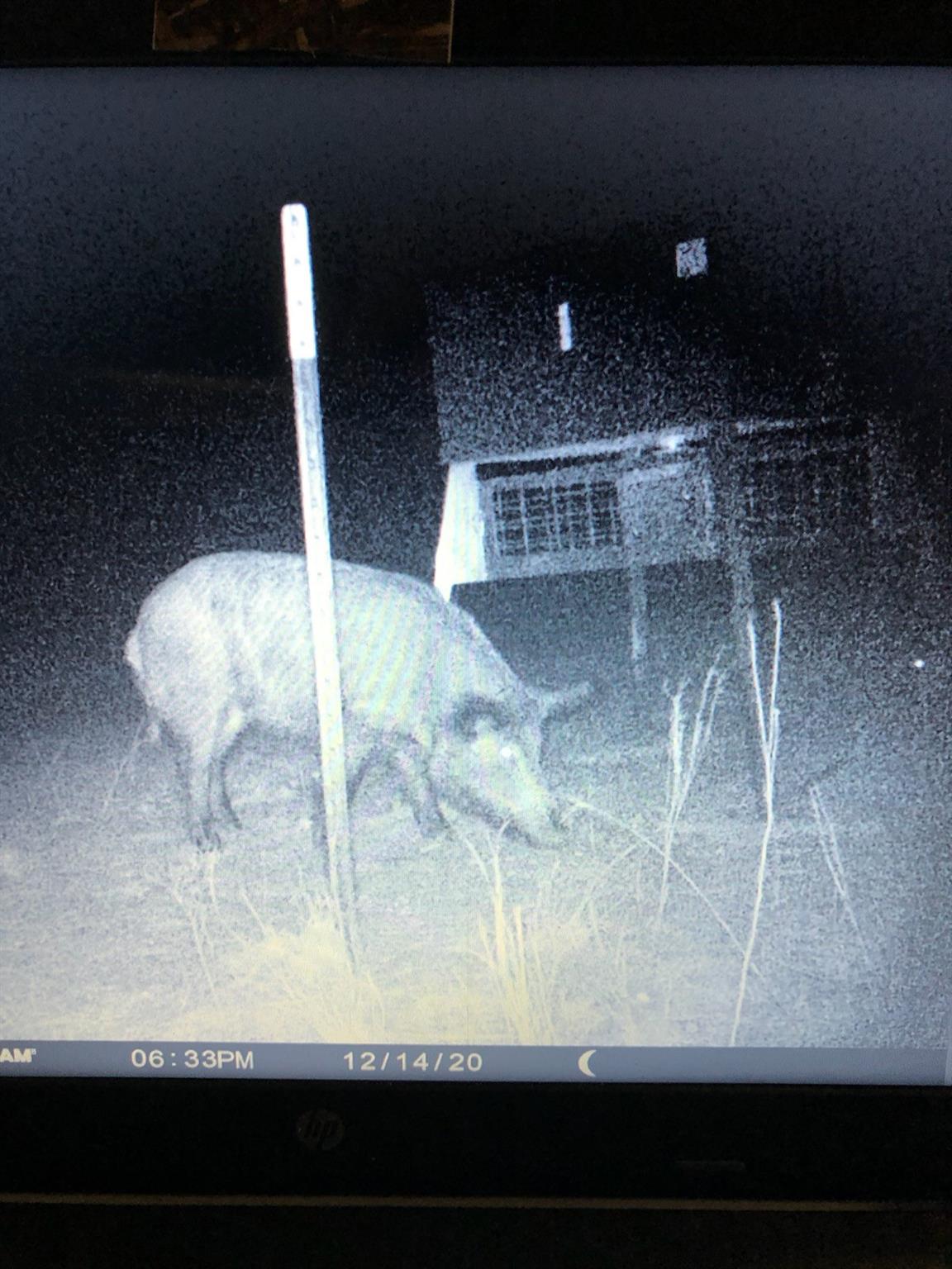 TBD S Rocky TRL, Lampasas, TX 76550