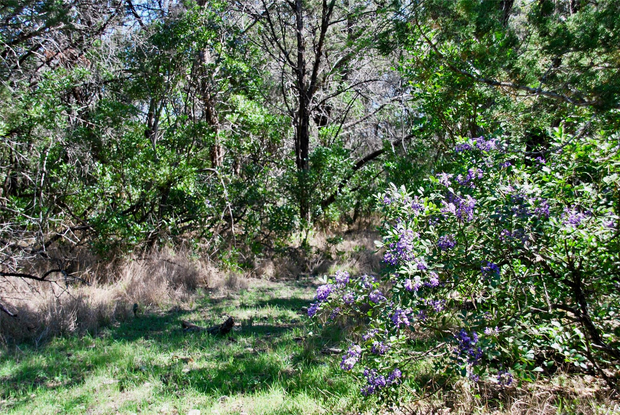 625 Mountain Laurel DR, New Braunfels, TX 78132